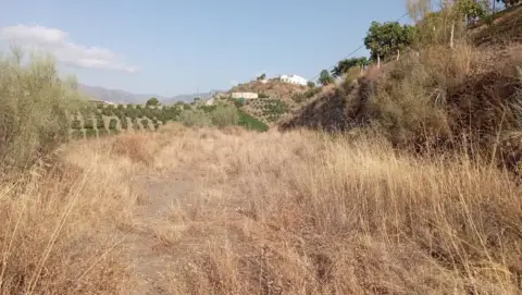 Finca rústica en Núcleo Urbano
