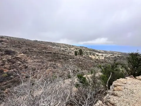 Finca rústica en Fasnia