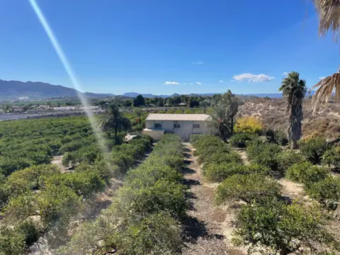 Finca rústica en Fuente Álamo