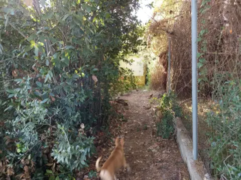 Finca rústica en Càlig