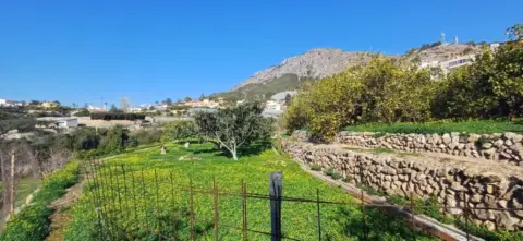 Finca rústica en Callosa d'en Sarrià