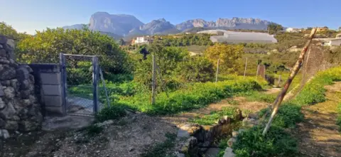 Finca rústica en Callosa d'en Sarrià