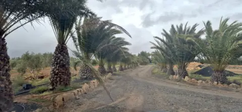 Finca rústica en Antigua