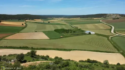 Finca rústica en Molacillos