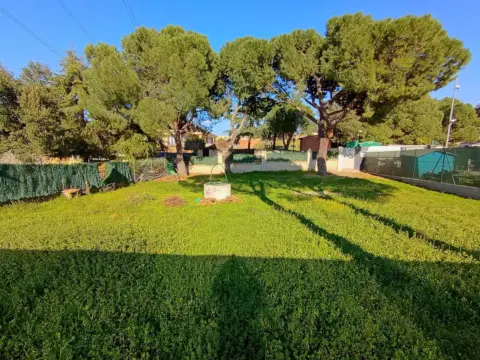 Terreno en Sevilla la Nueva