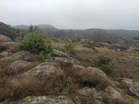 Finca rústica en Zarzalejo