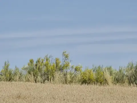 Finca rústica en Quijorna