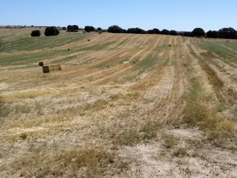 Finca rústica en Quijorna