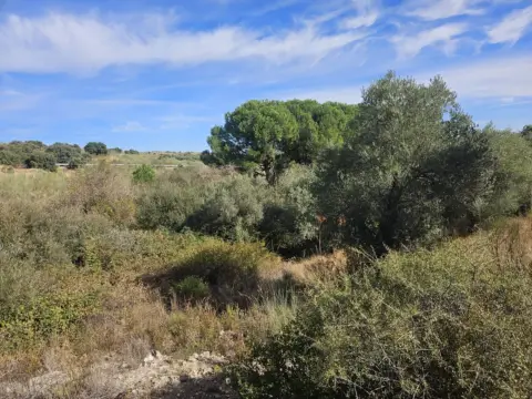 Finca rústica en Camping Valdemorillo