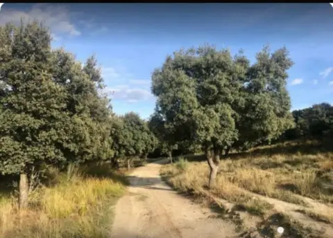 Finca rústica en Brunete