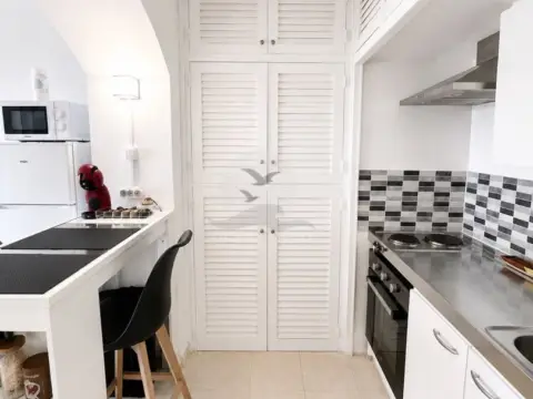 Estudio en Els Grecs-Mas Oliva