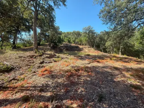 Terreno en Olzinelles