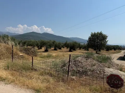 Finca rústica en Candeleda