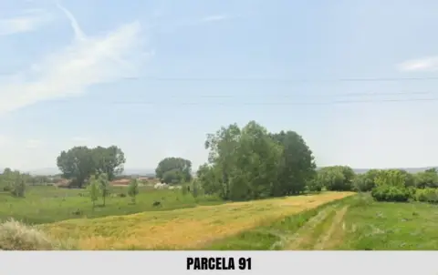 Finca rústica en calle Camino de Villalba de los Morales A El Poyo