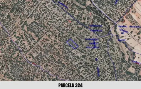 Finca rústica en calle los Cerritos y Umbria del Puntal