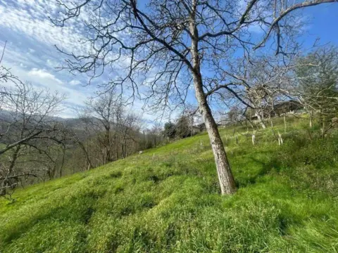 Finca rústica en Cabielles