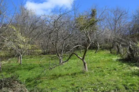 Finca rústica en Carangas (Ponga)