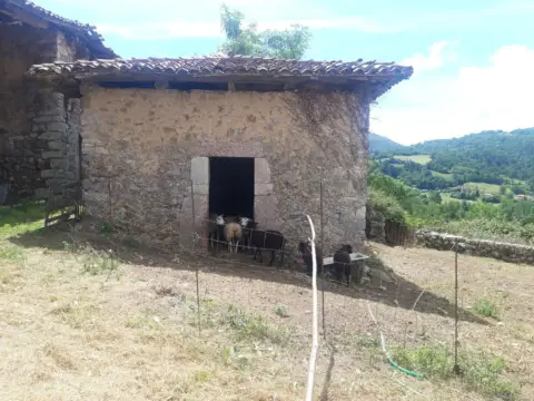 Finca rústica en Caldevilla