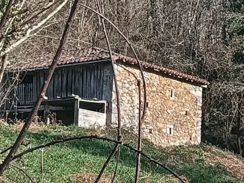 Finca rústica en calle Isongu - La Cruz - Polígono 54 Parcela 10088