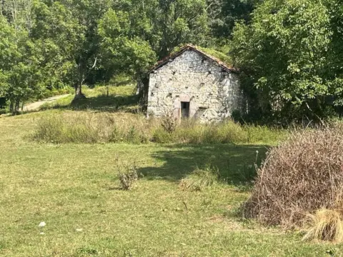 Finca rústica en Santoveña (Amieva)