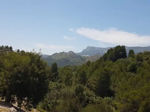 Rustic farm in Beniardà