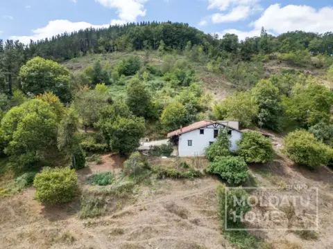 Chalet en Segura