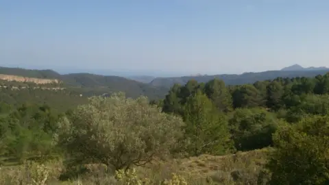 Finca rústica en calle Bitol, nº 13