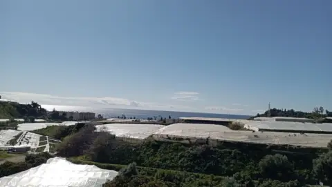 Finca rústica en Torrox Costa