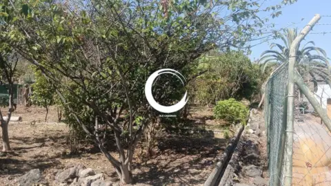 Finca rústica en Icod de Los Vinos