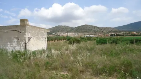 Finca rústica en El Fondó de les Neus - Hondón de las Nieves