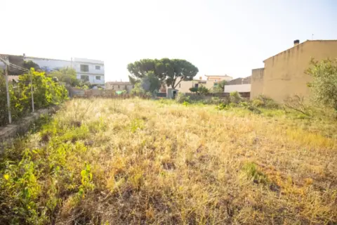 Land in Sant Climent Sescebes