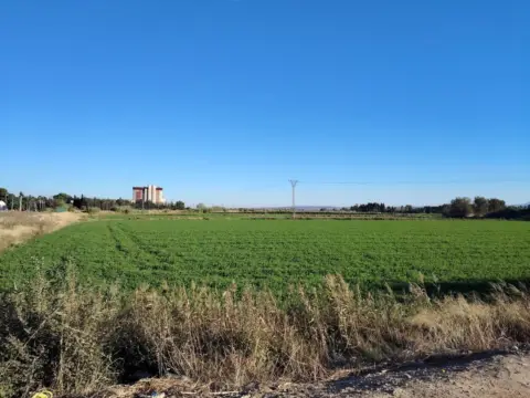 Finca rústica en Santa Isabel-Movera