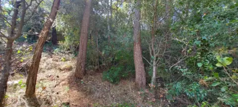 Terreno en Castellar del Vallès