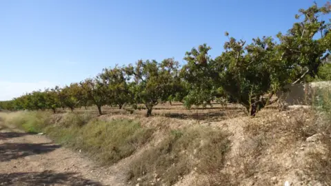 Finca rústica en Yecla