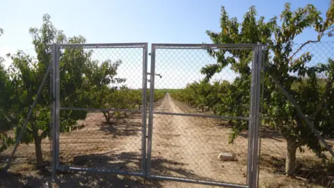 Finca rústica en Yecla