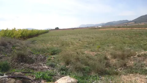 Finca rústica en Yecla