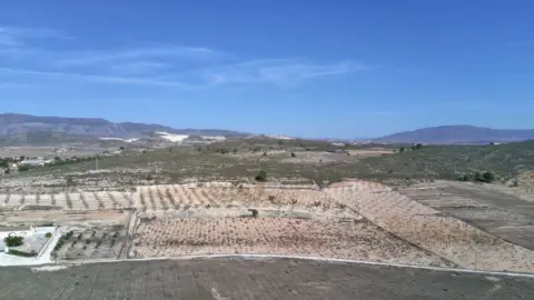 Finca rústica en Abanilla