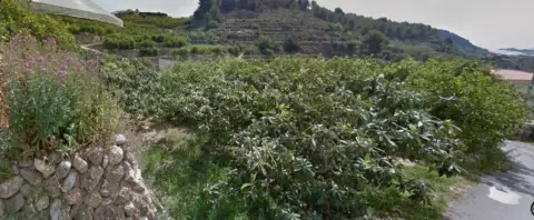 Finca rústica en Callosa d'en Sarrià