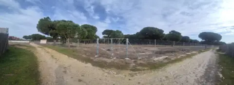 Finca rústica en calle San Salvador  Polígono 12 Parcela 142