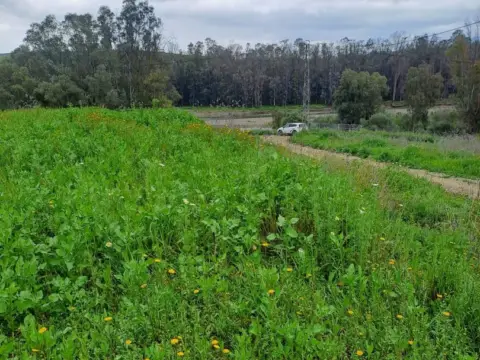 Finca rústica en Cártama