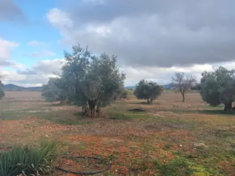 Finca rústica en Argamasilla de Calatrava