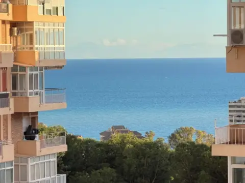 Apartamento en Parque de la Paloma