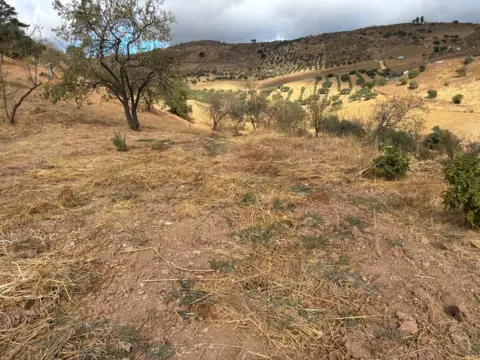 Terreno en Casabermeja