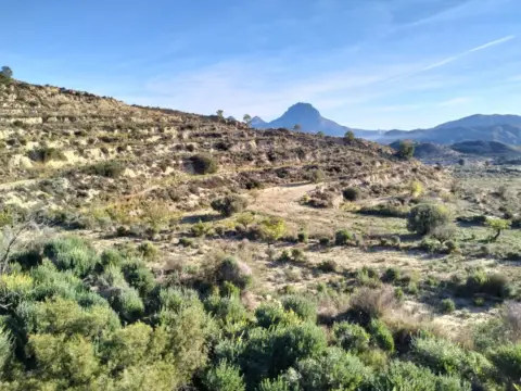 Finca rústica en Relleu