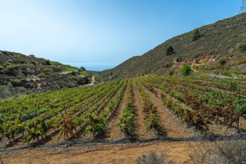 Finca rústica en La Sabinita