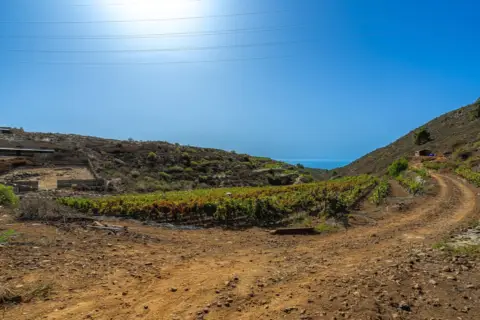 Finca rústica en La Sabinita