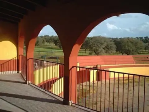 Finca rústica en Torrejón El Rubio