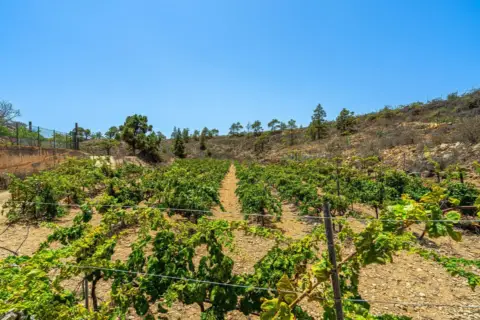 Finca rústica en La Sabinita