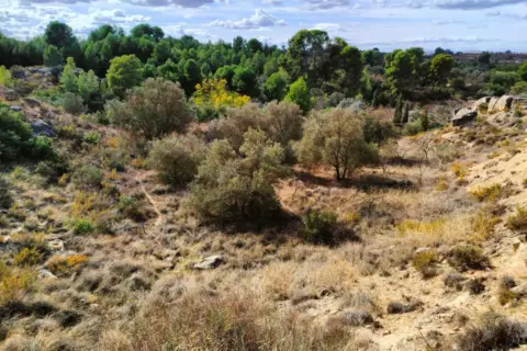 Finca rústica en Caspe