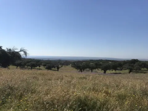 Finca rústica en Plasencia